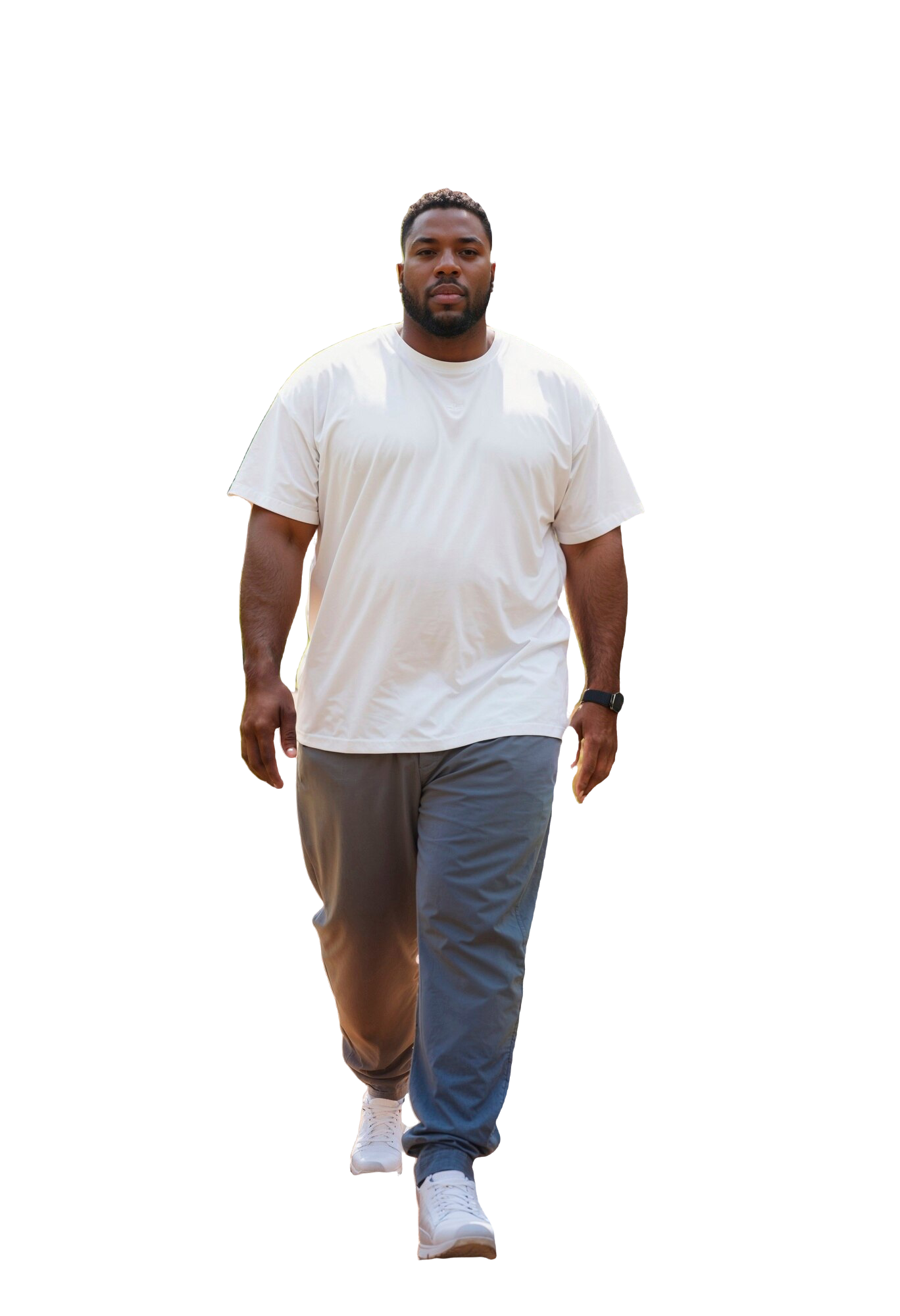 Premier Designer